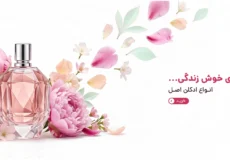 Perfeum Banner